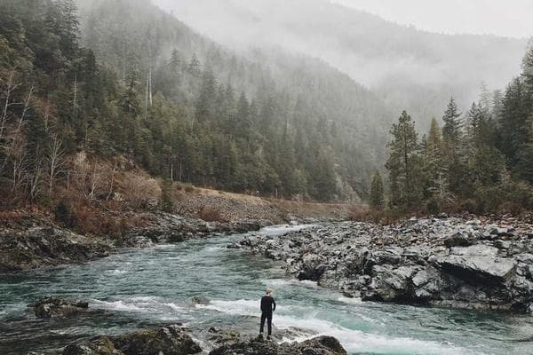 A smiling Traconomics woman working on a laptop, representing successful SEO transformation